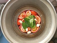 番茄燉牛肉【一鍋到底・便當盒版】