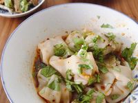 【  家常菜  】鮮肉雲吞 餛飩  扁食