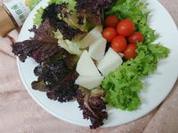 生菜筍沙拉