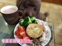 【電鍋早午餐】藜麥蛋拼盤