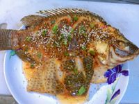 外酥內軟義泰吳郭魚