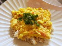 滑蛋燴飯 (露營OK)