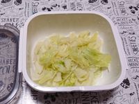 新玩具開箱！Gourlab微波盒煮高麗菜
