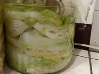 酸白菜