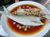 樹子鮮魚