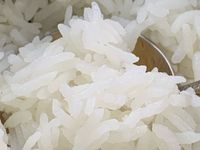 飯｜陶鍋炊飯*大同電鍋