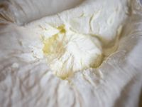 Ricotta 自製瑞可塔乳酪