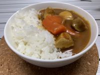 蔬食咖哩(佛蒙特咖哩)