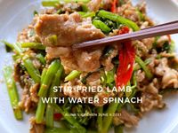 沙茶炒羊肉