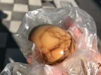 電鍋茶葉蛋(生煮)