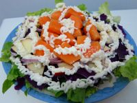 vip-recipes