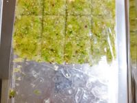 泰式蒜泥สามเกลอ
