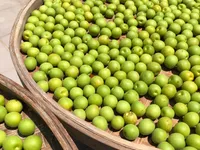 梅酒(威士忌風味)