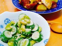 時蔬拌雞胸+芝麻黃瓜沙拉