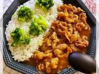肉片燴飯