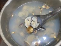 鮮味蛤蜊湯