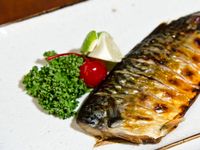 [上野物產] 挪威薄鹽鯖魚