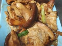 豆包菇菇