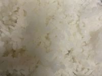 大同電鍋白飯