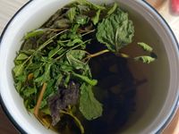 紫蘇薄荷茶