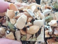 堅果脆餅