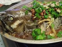 豆醬蒸龍虎斑
