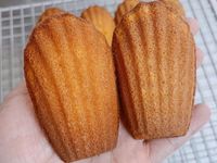瑪德蓮