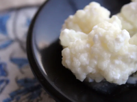 用Kefir克菲爾菌自製優格