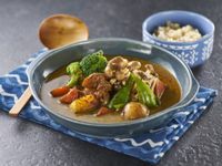 時蔬雞肉湯咖哩-蔬食料理