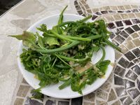 涼拌過溝菜蕨
