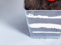 Oreo木糠布丁