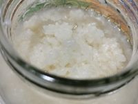 甜酒釀 (圓糯米❌免浸泡)~簡單隨手做