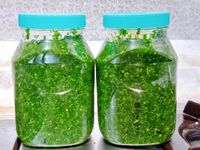 自製韭菜醬(五辛素)