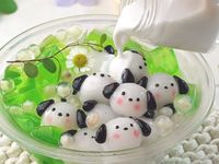 趴洽狗果凍