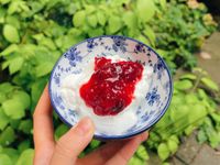 蜜李·恐龍蛋果醬（Pluot Jam）
