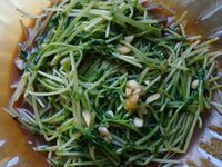 涼拌綠芽菜
