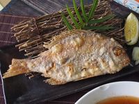油炸日本真鯛