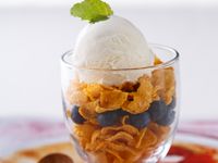 嫩豆腐冰淇淋 (免冰淇淋機)