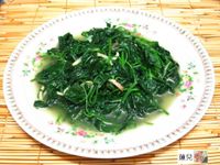 赤道櫻草