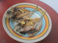 [小湯的美味食譜] 香煎竹筴魚一頁乾 Tefal 特福煎鍋實做