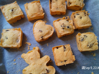 vip-recipes