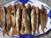 香蒜紅魚