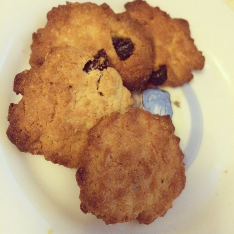 *小烤箱烘焙*燕麥葡萄乾脆餅