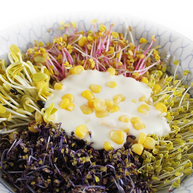 【厚生廚房】綜合芽菜優酪沙拉