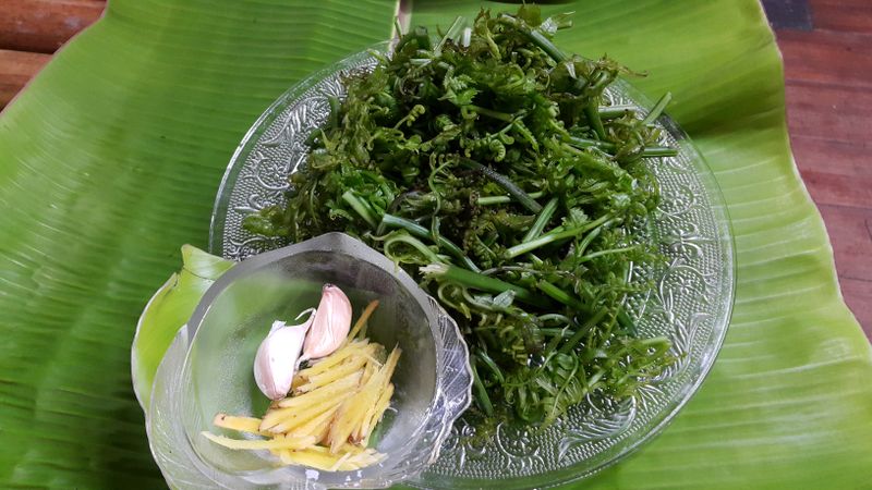 原民風味-涼拌過貓