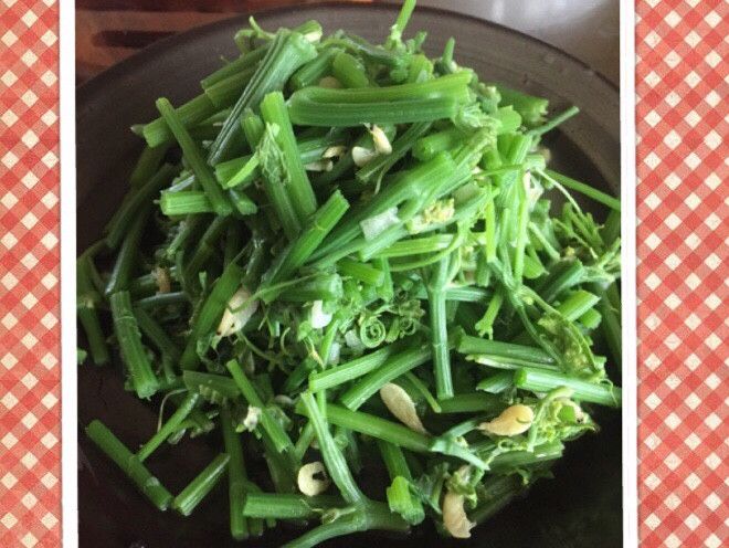 龍鬚菜