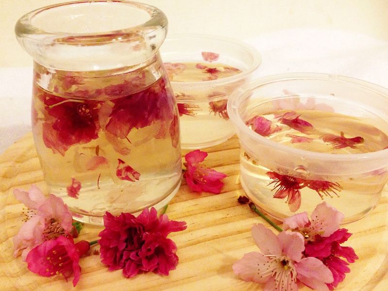 櫻花葡萄酒凍