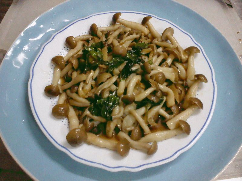 【好菇道菇Idea】 香炒麻油菇