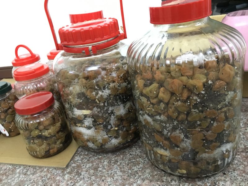 手工紫蘇梅
