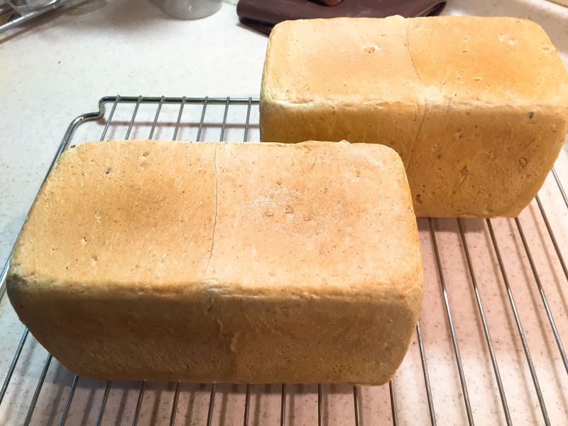 青汁燕麥吐司